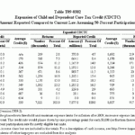 T09 0382 Expansion Of Child And Dependent Care Tax Credit CDCTC