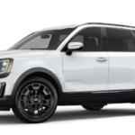 2022 Kia Telluride Near St Louis MO Federico Kia