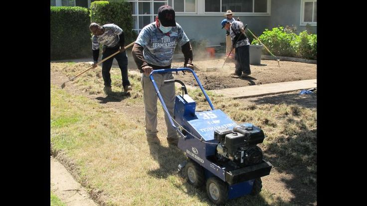 California Drought Rebates Offered For Ripping Out Lawns Under Nation 