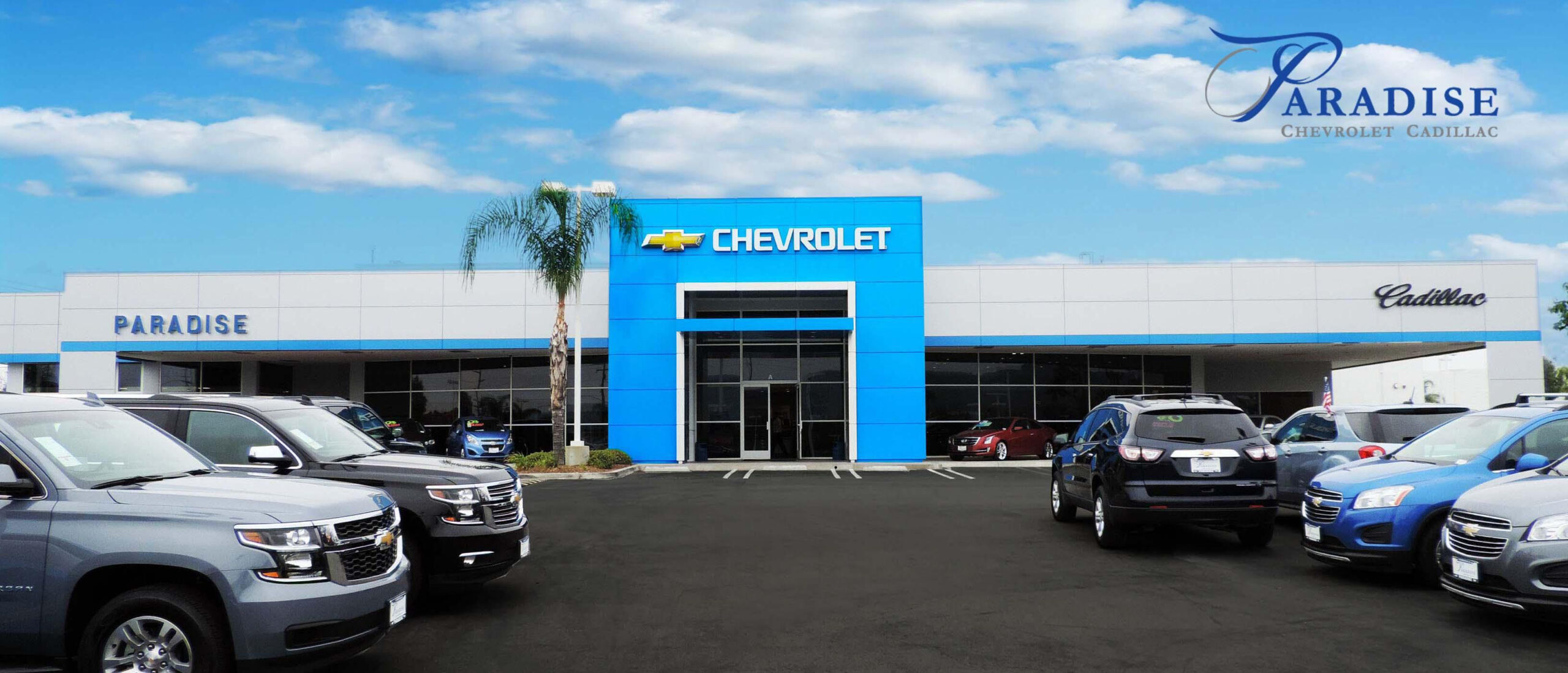 Luxury Cheap Car Dealerships Near Me Used Cars